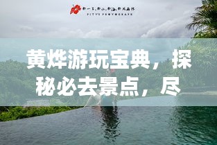 鸟之将死 第3页