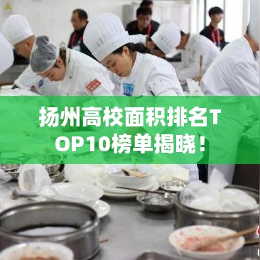 扬州高校面积排名TOP10榜单揭晓!