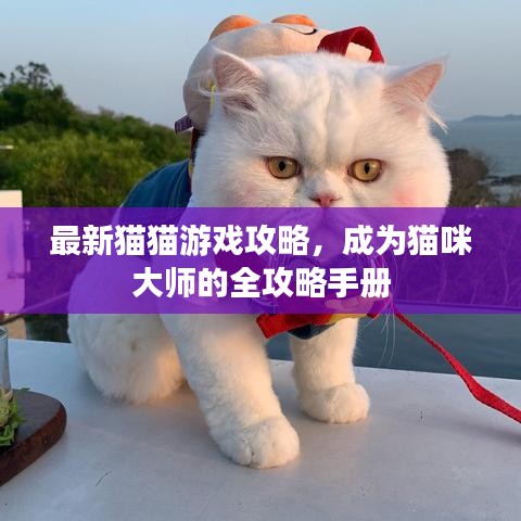 最新猫猫游戏攻略,成为猫咪大师的全攻略手册