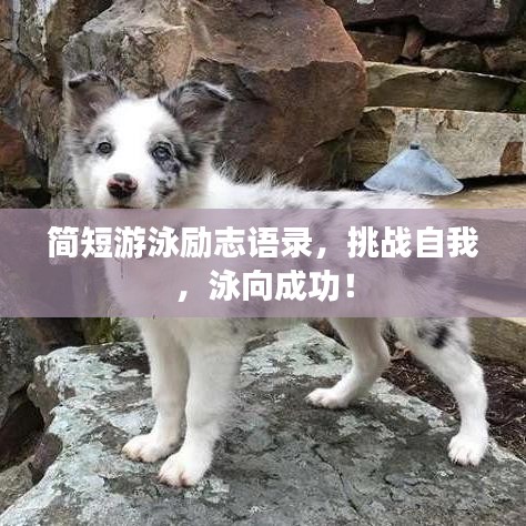 简短游泳励志语录,挑战自我,泳向成功!