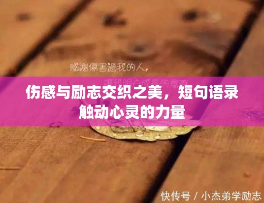 生张熟魏 第3页