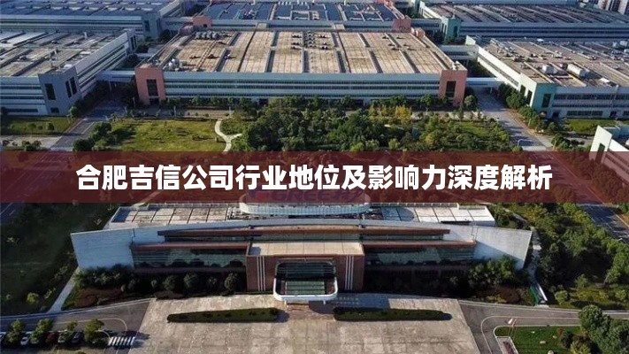 合肥吉信公司行业地位及影响力深度解析