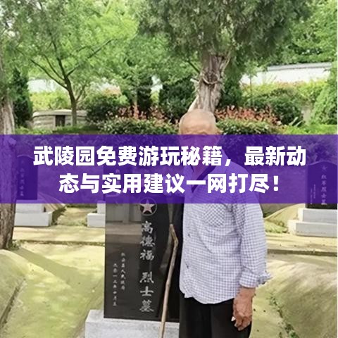 武陵园免费游玩秘籍,最新动态与实用建议一网打尽!