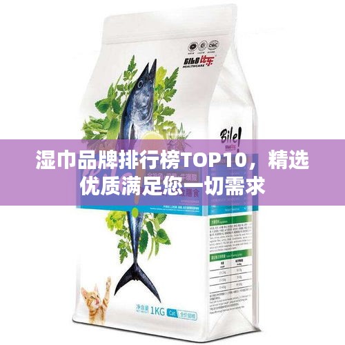 湿巾品牌排行榜TOP10,精选优质满足您一切需求
