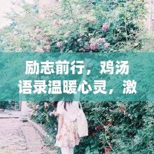 励志前行,鸡汤语录温暖心灵,激发无限动力!