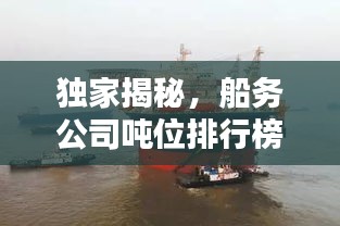独家揭秘,船务公司吨位排行榜!