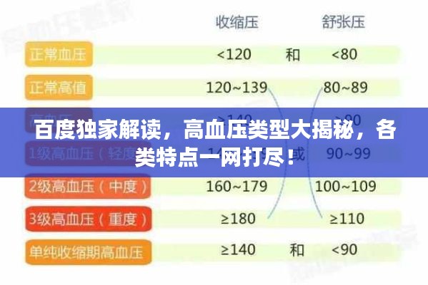 百度独家解读,高血压类型大揭秘,各类特点一网打尽!