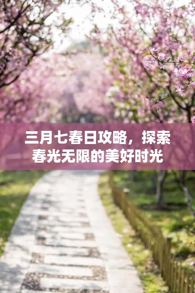 三月七春日攻略,探索春光无限的美好时光