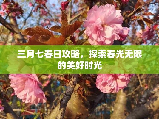 三月七春日攻略,探索春光无限的美好时光