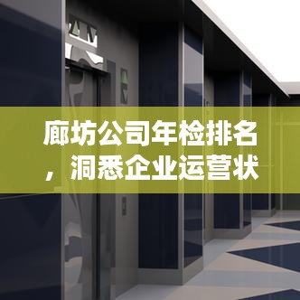 廊坊公司年检排名,洞悉企业运营状况的关键指标参考