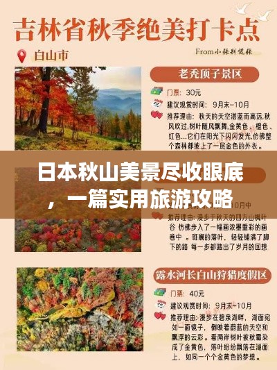 日本秋山美景尽收眼底,一篇实用旅游攻略