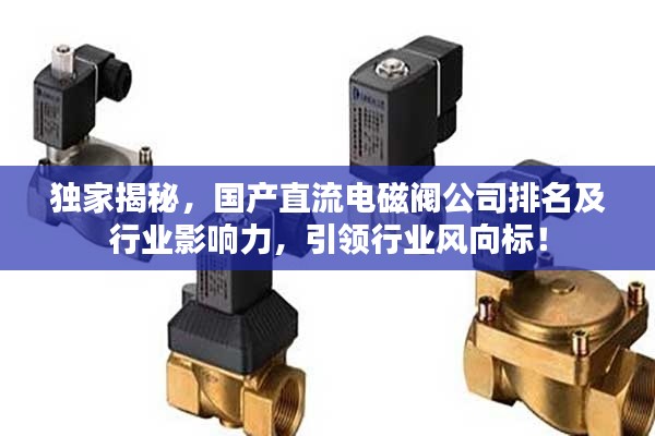 束手就缚 第3页