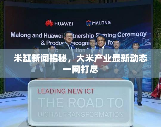 米缸新闻揭秘,大米产业最新动态一网打尽