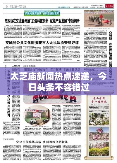 太芝庙新闻热点速递，今日头条不容错过