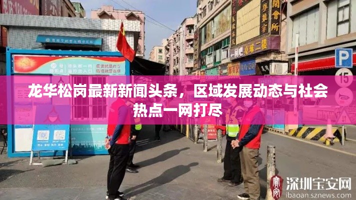 龙华松岗最新新闻头条，区域发展动态与社会热点一网打尽