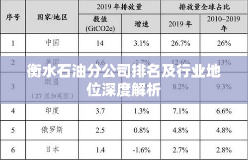 衡水石油分公司排名及行业地位深度解析