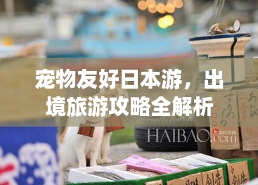 宠物友好日本游,出境旅游攻略全解析