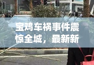 宝鸡车祸事件震惊全城,最新新闻报道!