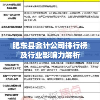 肥东县会计公司排行榜及行业影响力解析