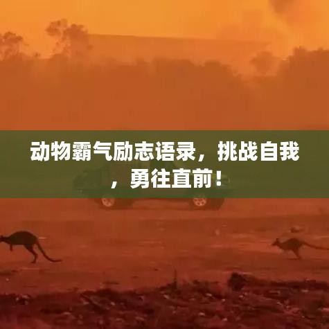 动物霸气励志语录,挑战自我,勇往直前!