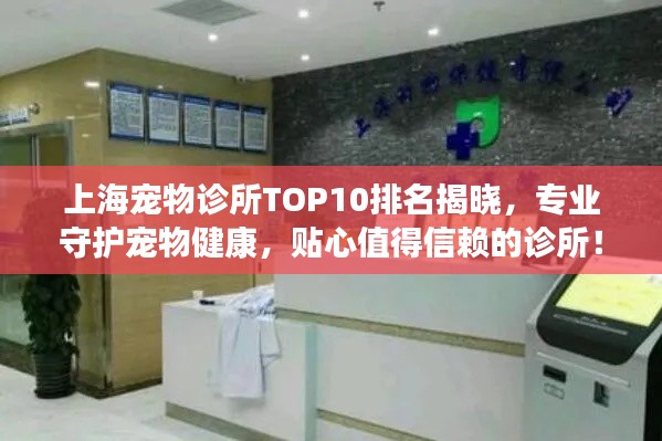 上海宠物诊所TOP10排名揭晓,专业守护宠物健康,贴心值得信赖的诊所!