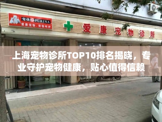 上海宠物诊所TOP10排名揭晓,专业守护宠物健康,贴心值得信赖的诊所!