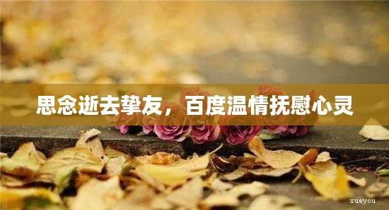 思念逝去挚友,百度温情抚慰心灵