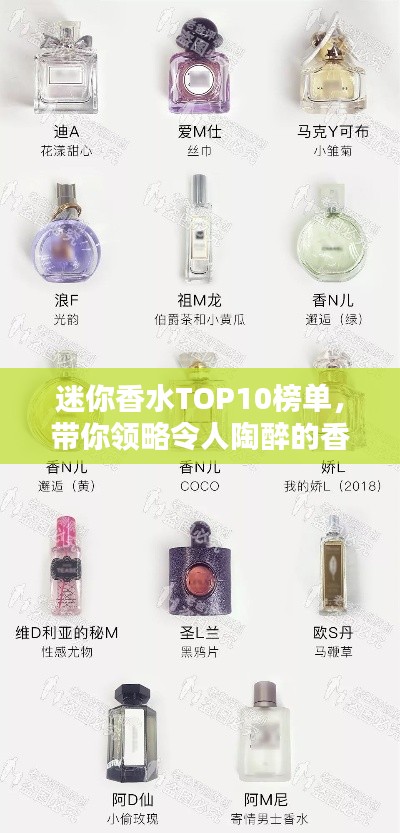 铁杵成针 第3页
