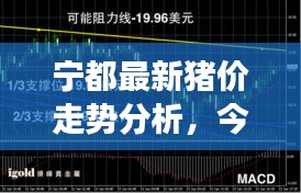 宁都最新猪价走势分析,今日行情解读