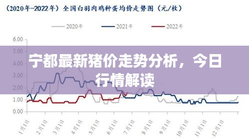 宁都最新猪价走势分析,今日行情解读
