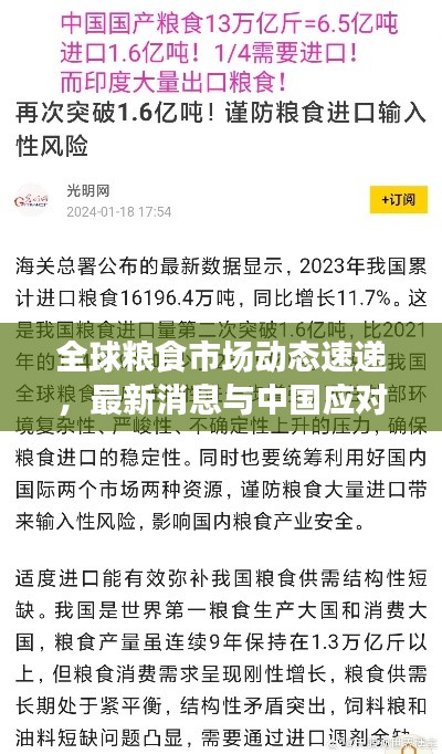 全球粮食市场动态速递,最新消息与中国应对策略