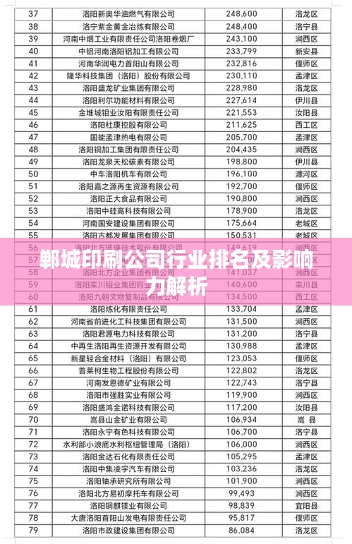 郸城印刷公司行业排名及影响力解析