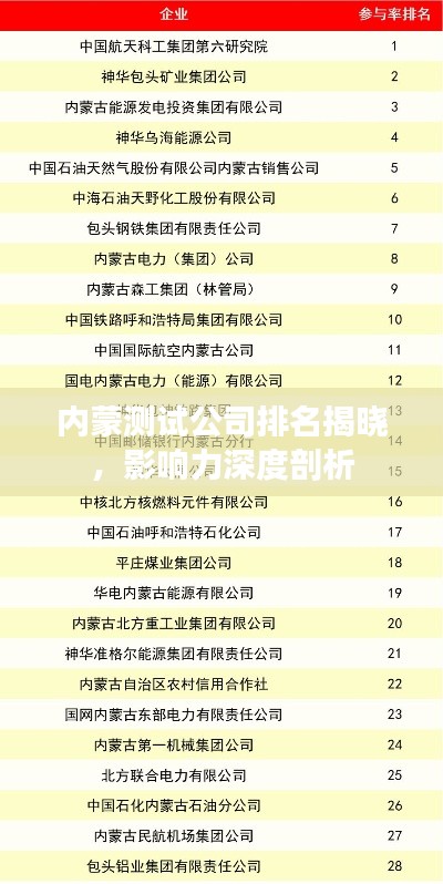 内蒙测试公司排名揭晓,影响力深度剖析
