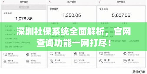 深圳社保系统全面解析,官网查询功能一网打尽!