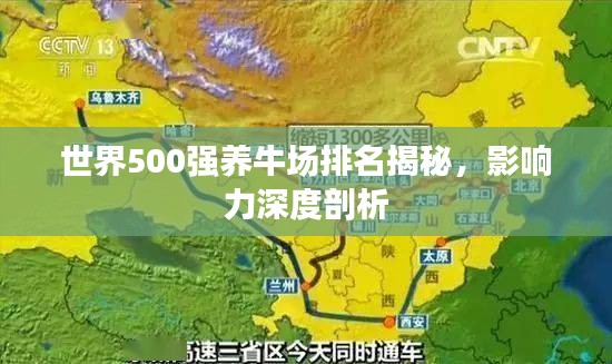 世界500强养牛场排名揭秘,影响力深度剖析