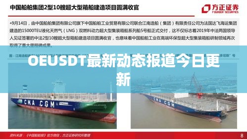 OEUSDT最新动态报道今日更新