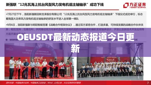 OEUSDT最新动态报道今日更新