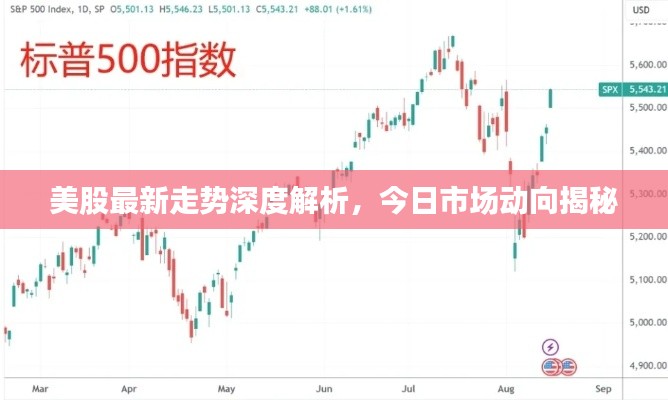 美股最新走势深度解析,今日市场动向揭秘