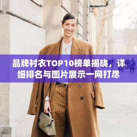 品牌衬衣TOP10榜单揭晓,详细排名与图片展示一网打尽