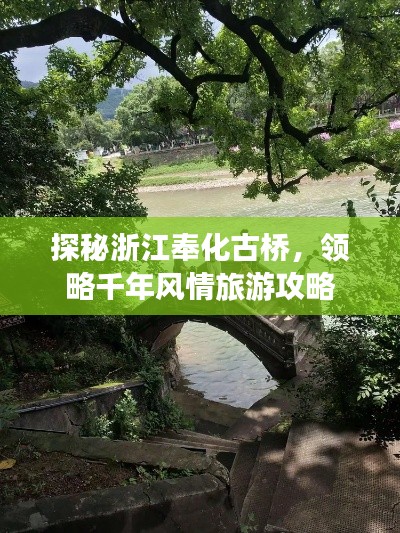 探秘浙江奉化古桥,领略千年风情旅游攻略