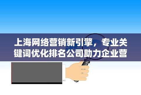 上海网络营销新引擎,专业关键词优化排名公司助力企业营销提升