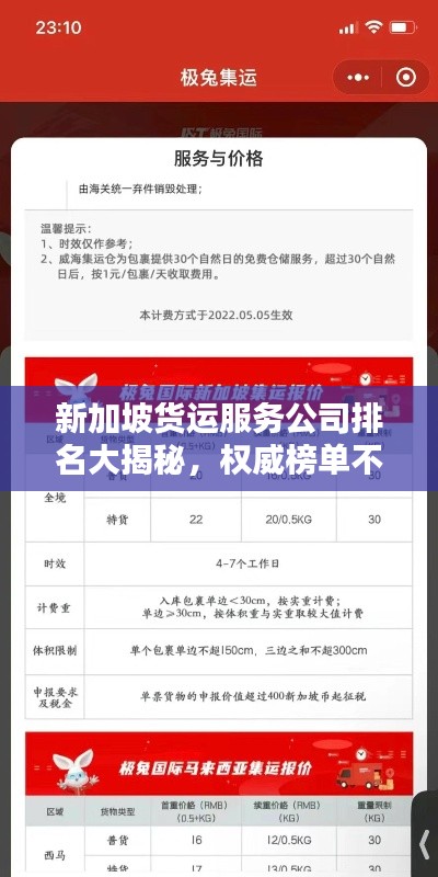 新加坡货运服务公司排名大揭秘,权威榜单不容错过