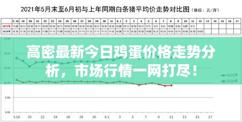 高密最新今日鸡蛋价格走势分析,市场行情一网打尽!