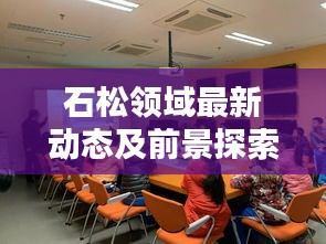 石松领域最新动态及前景探索新闻头条