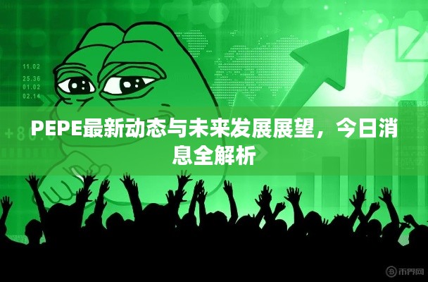 PEPE最新动态与未来发展展望,今日消息全解析