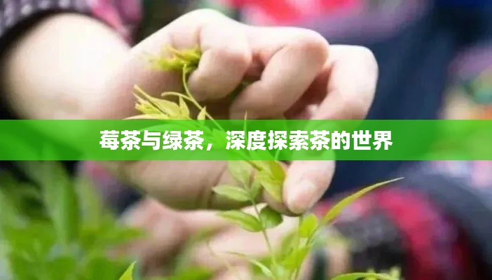 威风凛凛 第2页