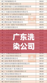 广东洗染公司排名揭晓,权威榜单,行业巨头一目了然!
