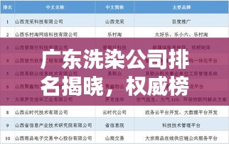 广东洗染公司排名揭晓,权威榜单,行业巨头一目了然!