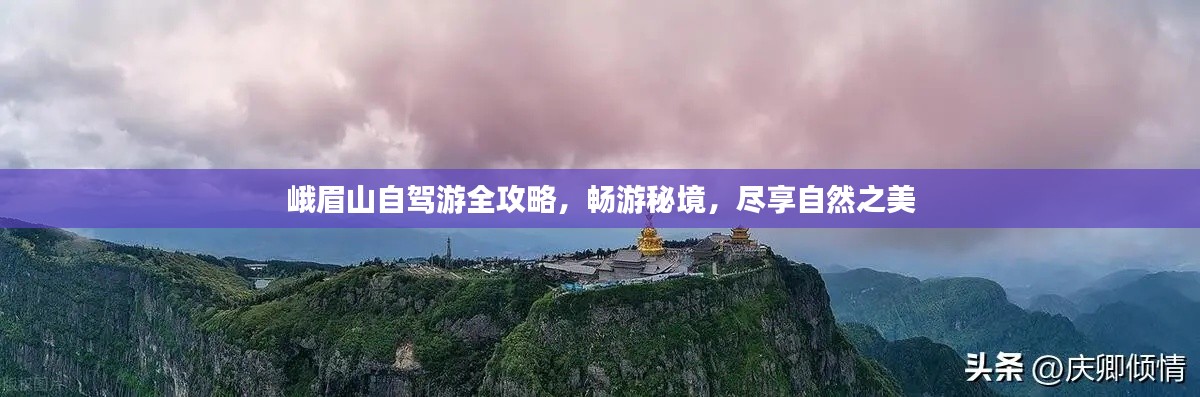 读书三到 第4页