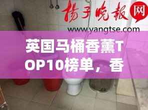 英国马桶香薰TOP10榜单,香气迷人不可或缺!